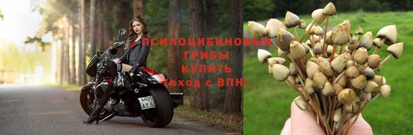 СК Наволоки