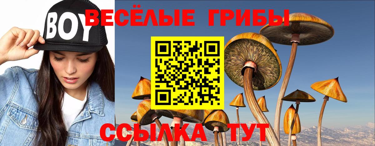 Галлюциногенные грибы Magic Shrooms  Вход с VPN  Пермь 