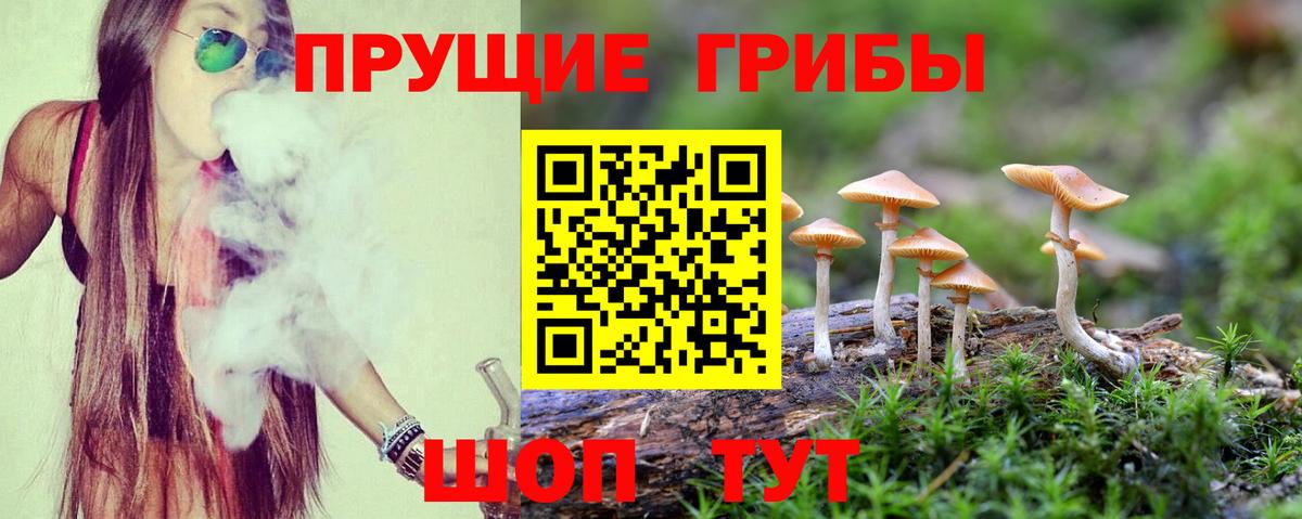 Галлюциногенные грибы Psilocybine cubensis  даркнет сайт  Псилоцибиновые грибы GOLDEN TEACHER  Пермь 