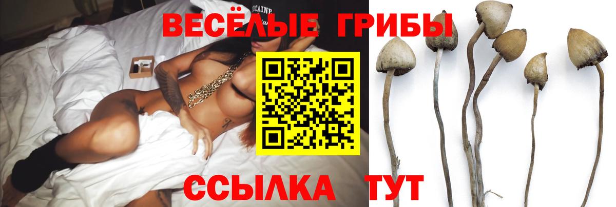 Псилоцибиновые грибы мицелий Пермь