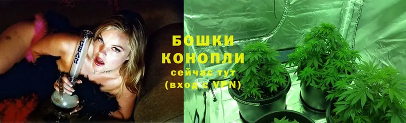 купить  цена  Пермь  МАРИХУАНА OG Kush 